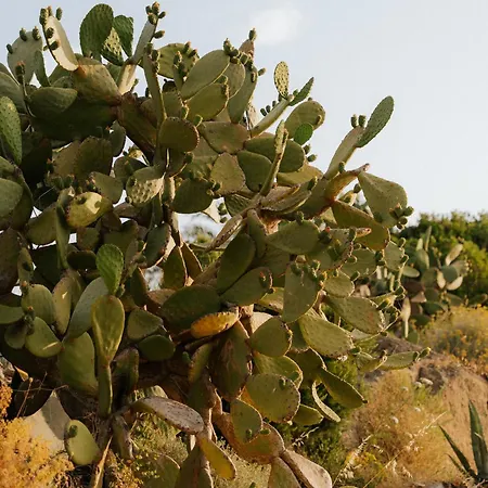 La Guardia 4* Giglio Porto